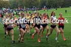 Girls Under-15s relay, 2025 Northern Cross Country Relays, Graves Park, Sheffield. Photo: David T. Hewitson/Sports for All Pics